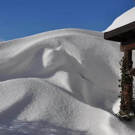 Alpen Austria Apartman